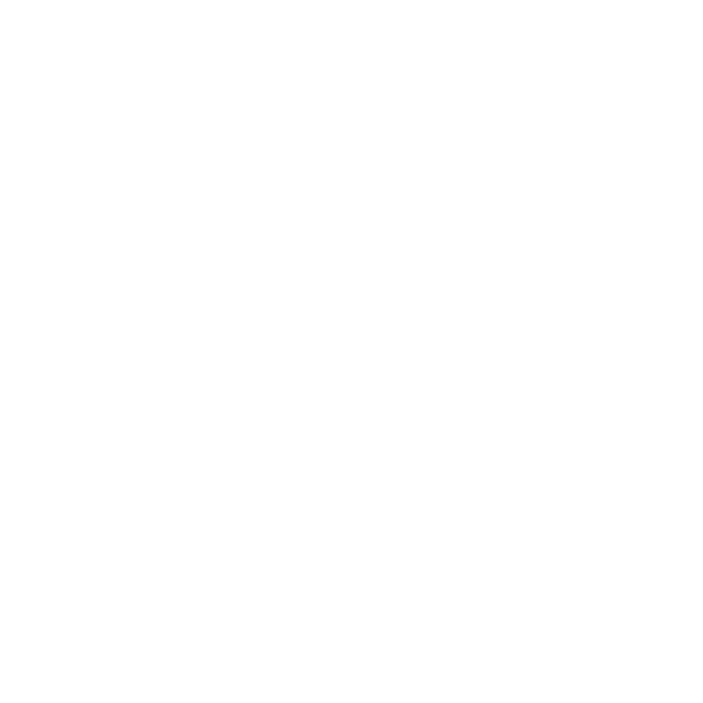 Accessibility Icon